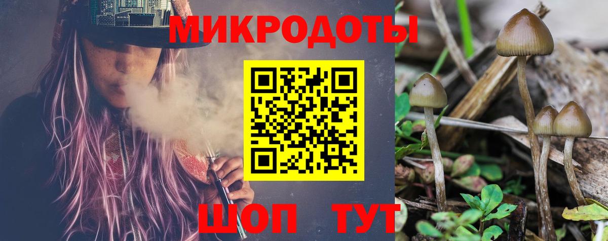 Псилоцибиновые грибы MAGIC MUSHROOMS  Псилоцибиновые грибы Psilocybe  Вход с VPN  Краснознаменск 