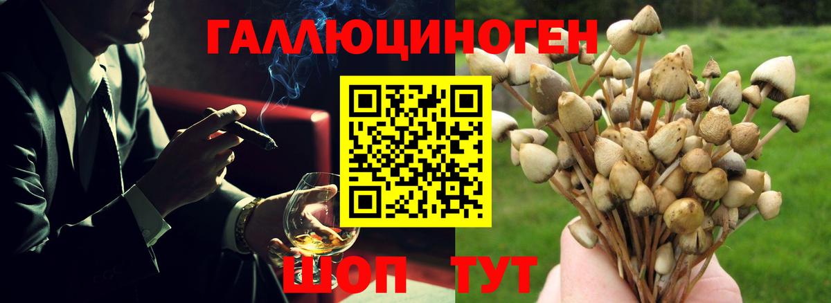 Псилоцибиновые грибы MAGIC MUSHROOMS Краснознаменск